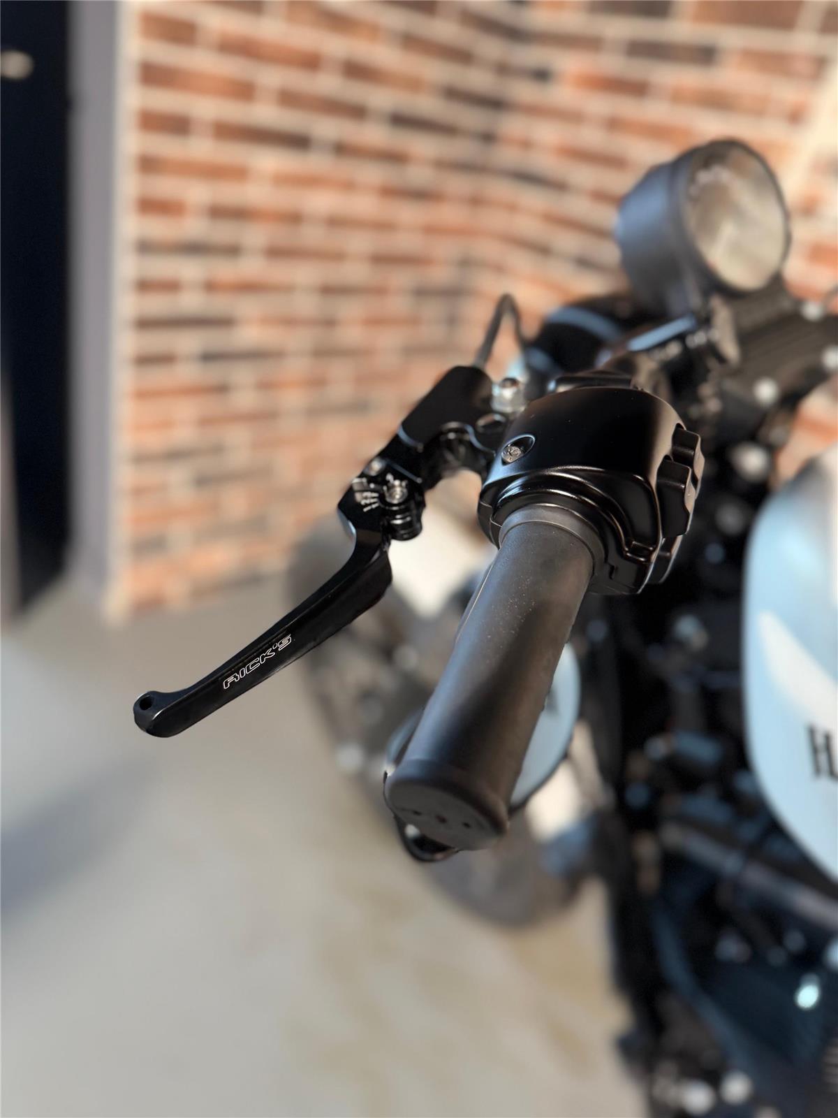 2018 harley-davidson XL 883 N Sportster Iron ABS