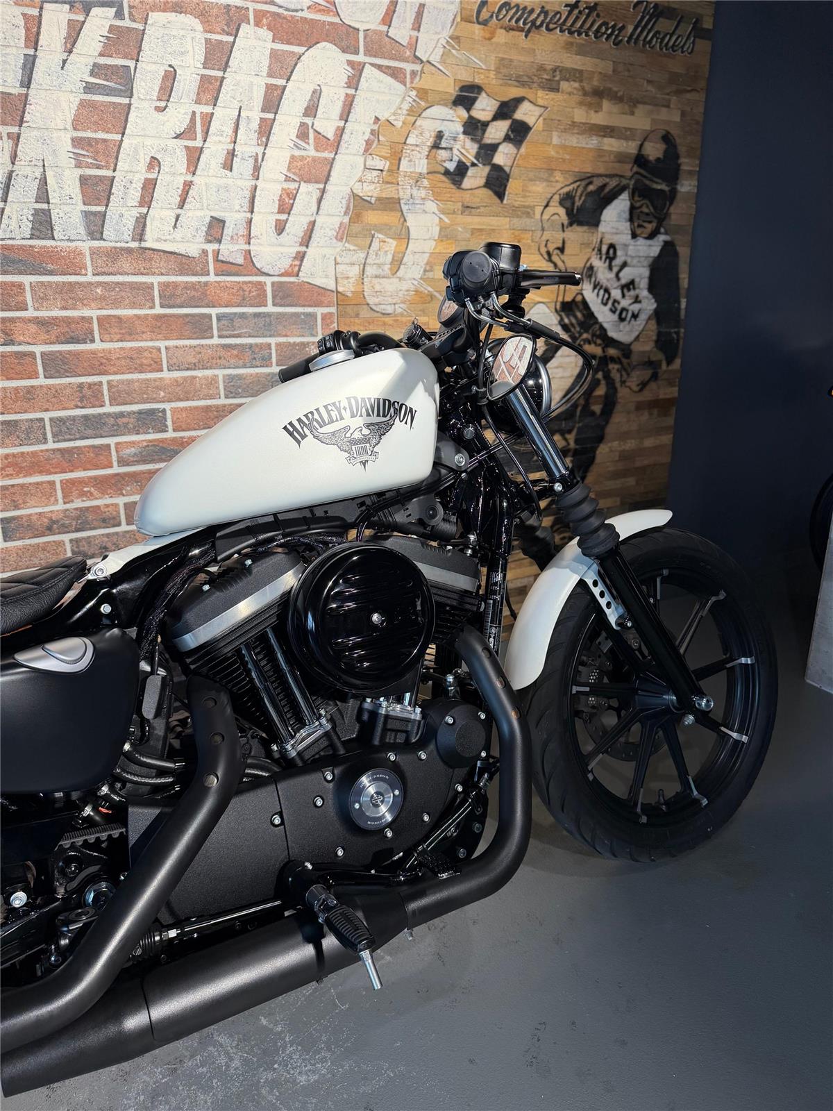 2018 harley-davidson XL 883 N Sportster Iron ABS