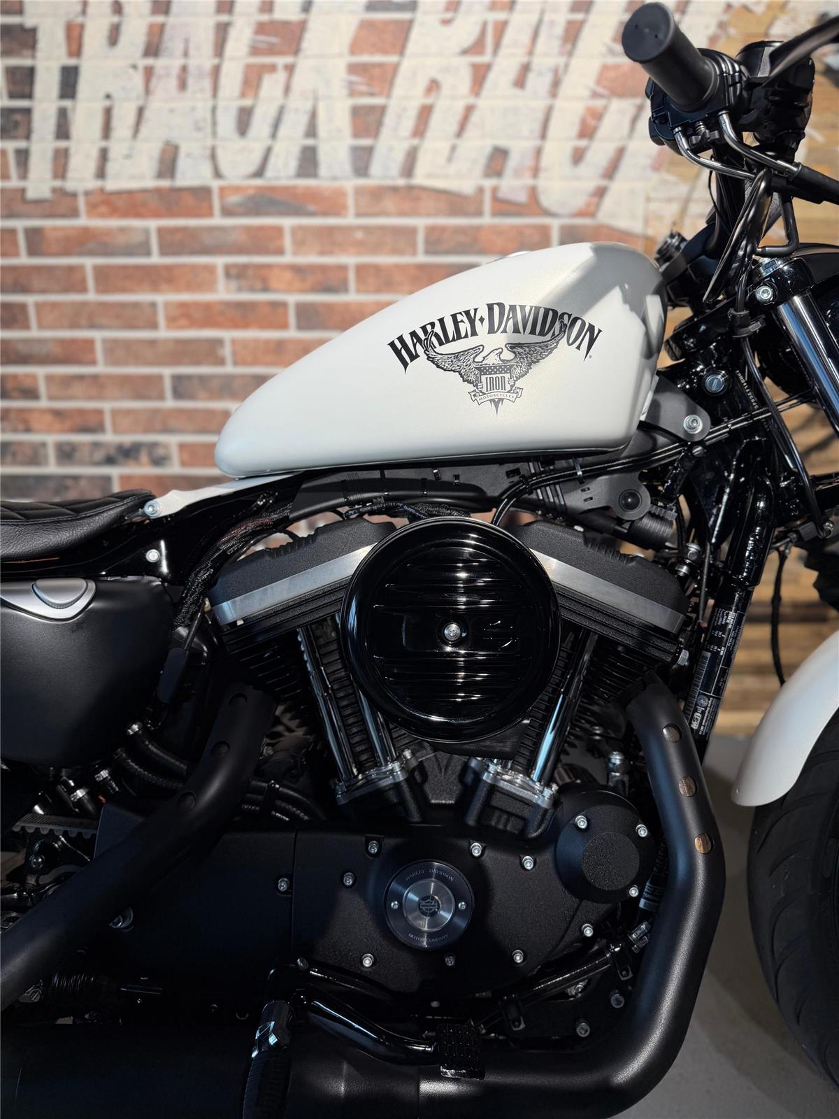 2018 harley-davidson XL 883 N Sportster Iron ABS