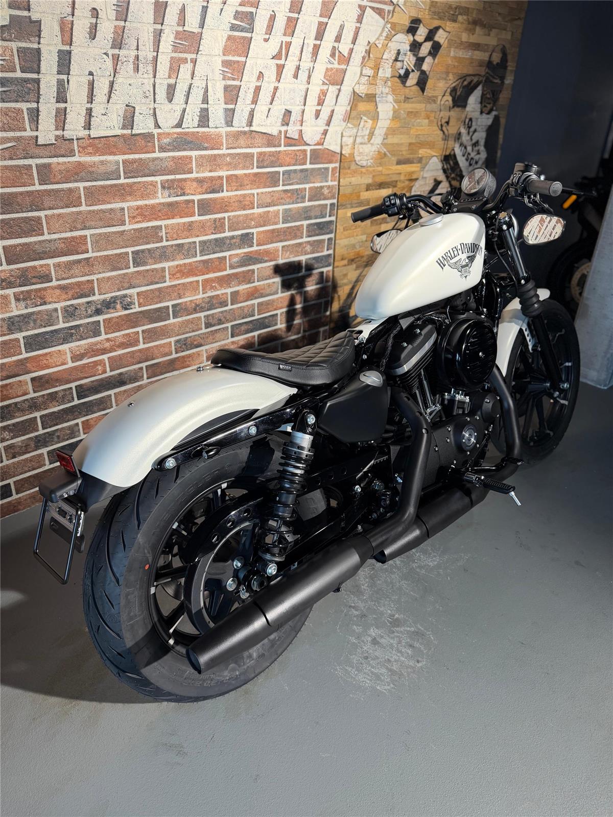 2018 harley-davidson XL 883 N Sportster Iron ABS