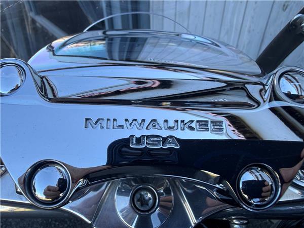 2018 HARLEY-DAVIDSON LOW RIDER
