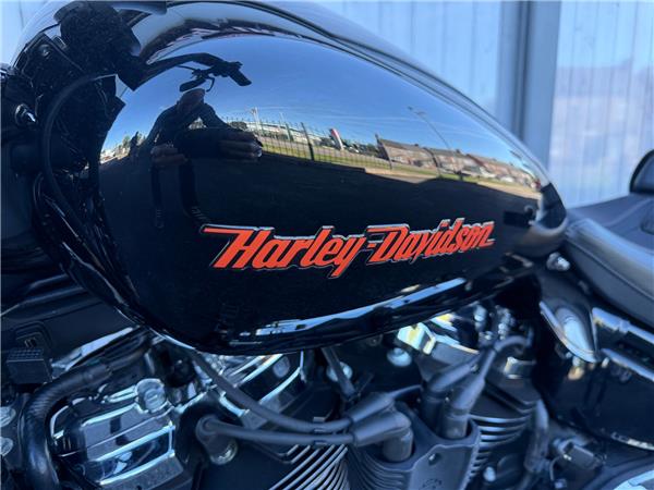 2023 HARLEY-DAVIDSON BREAKOUT 114