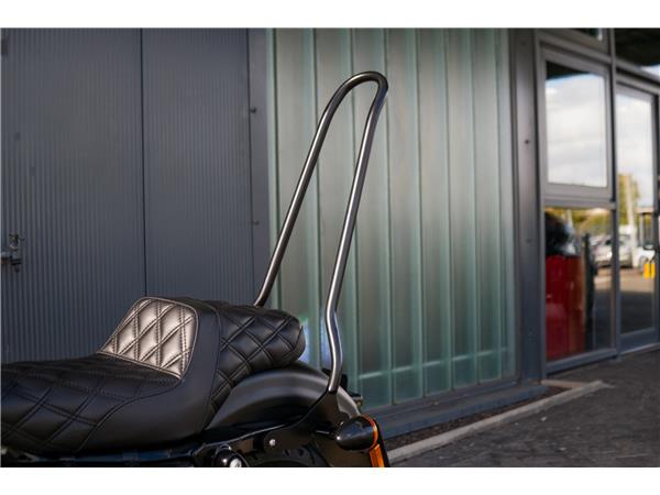 2020 Harley-Davidson Iron 883