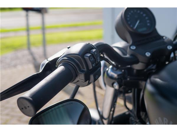 2020 Harley-Davidson Iron 883