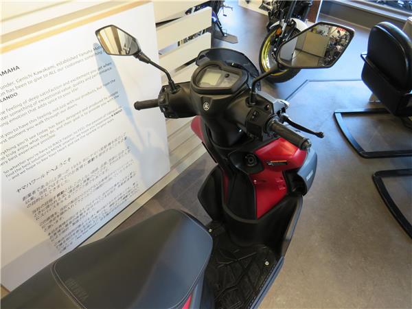 YAMAHA RAYZR