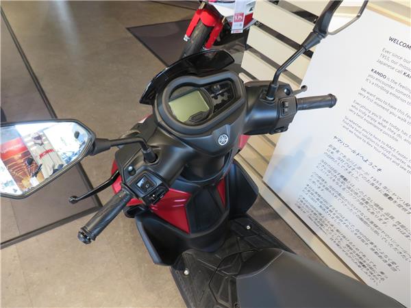 YAMAHA RAYZR
