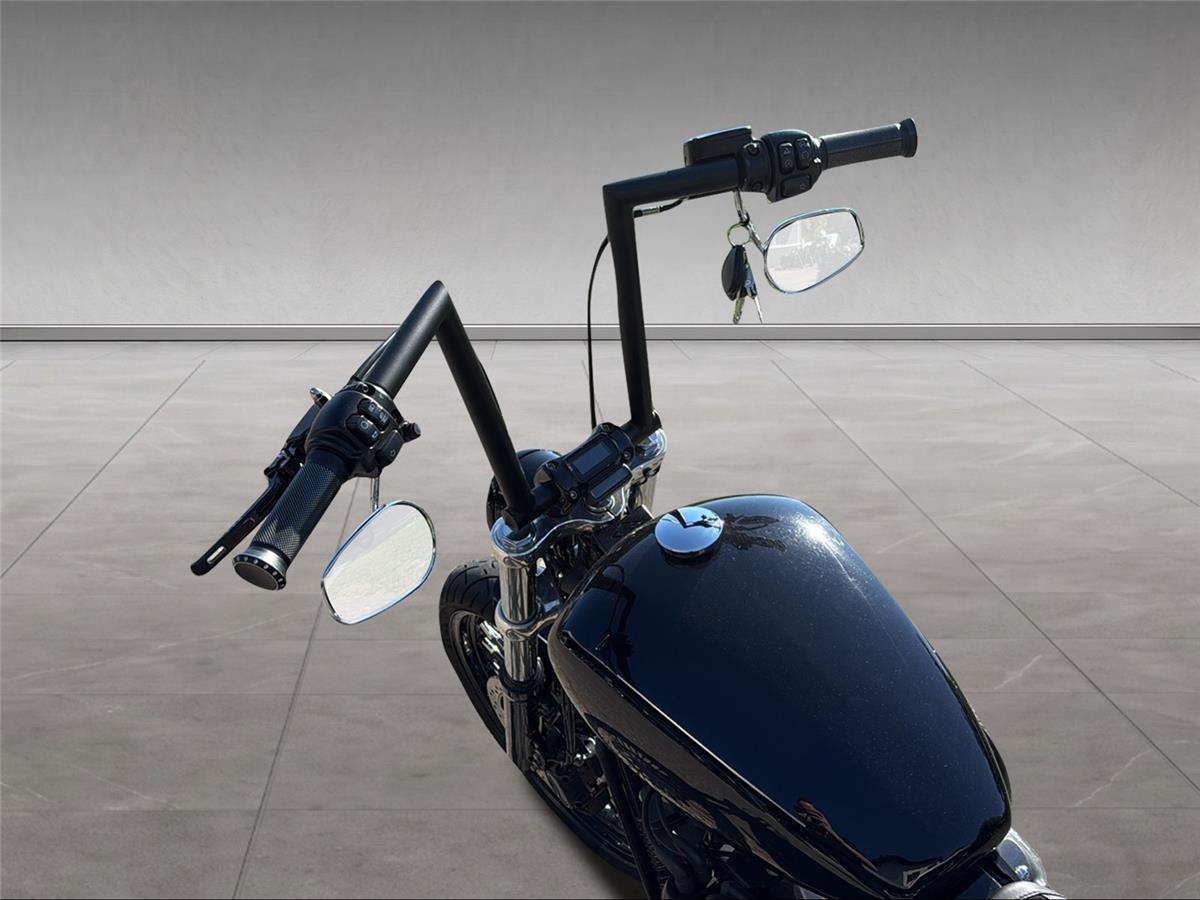 2023 harley-davidson FXST Softail Standard 107