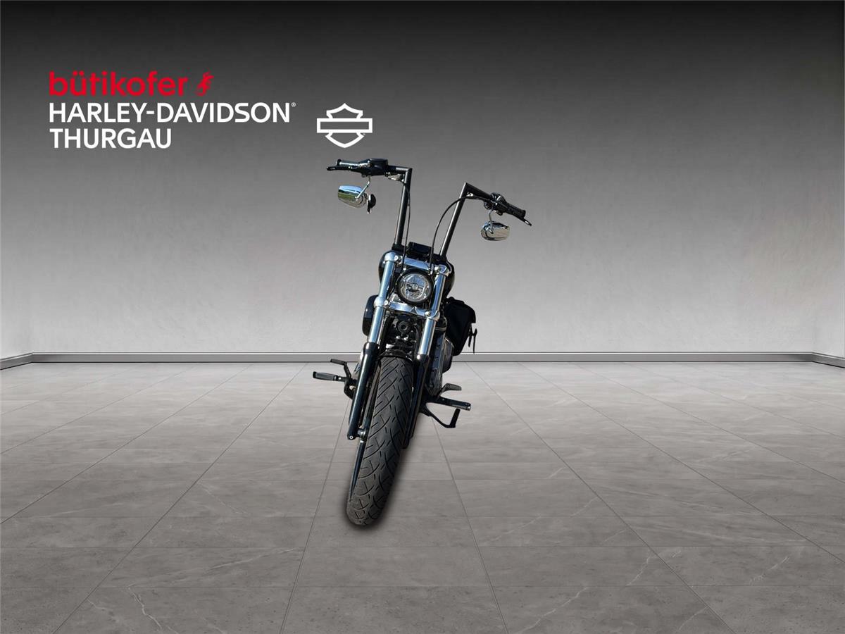 2023 harley-davidson FXST Softail Standard 107