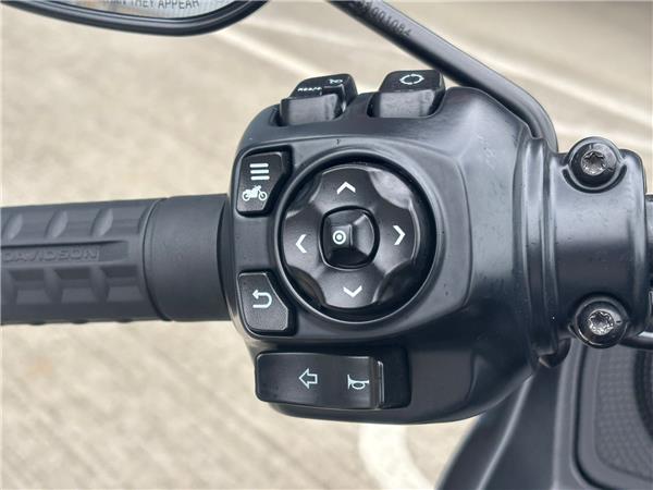 2026 HARLEY-DAVIDSON TOURING FLTRX ROAD GLIDE