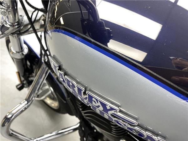 2019 Harley-Davidson SuperLow 1200T