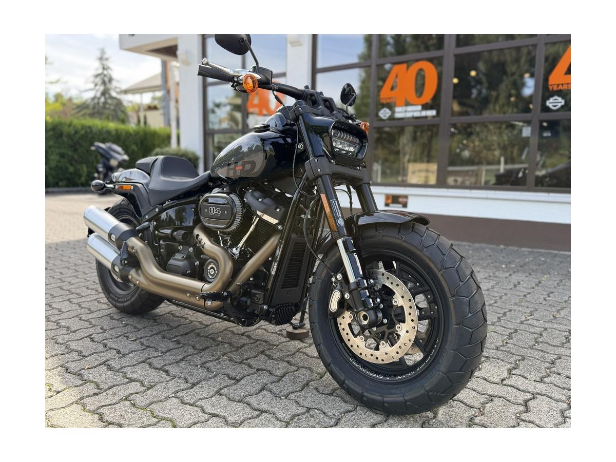 Fat Bob 