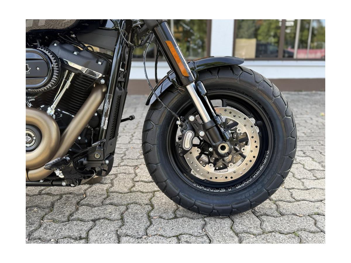 Fat Bob 