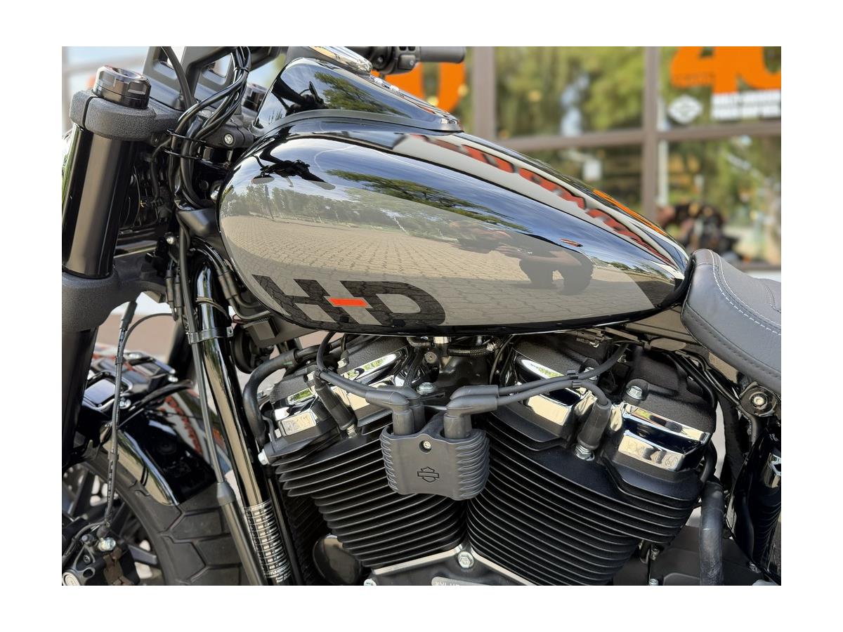 Fat Bob 