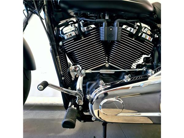 HARLEY-DAVIDSON BREAKOUT