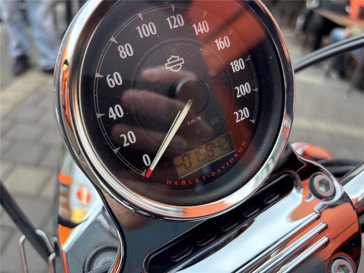2014 Harley-Davidson Sportster XL 1200CB