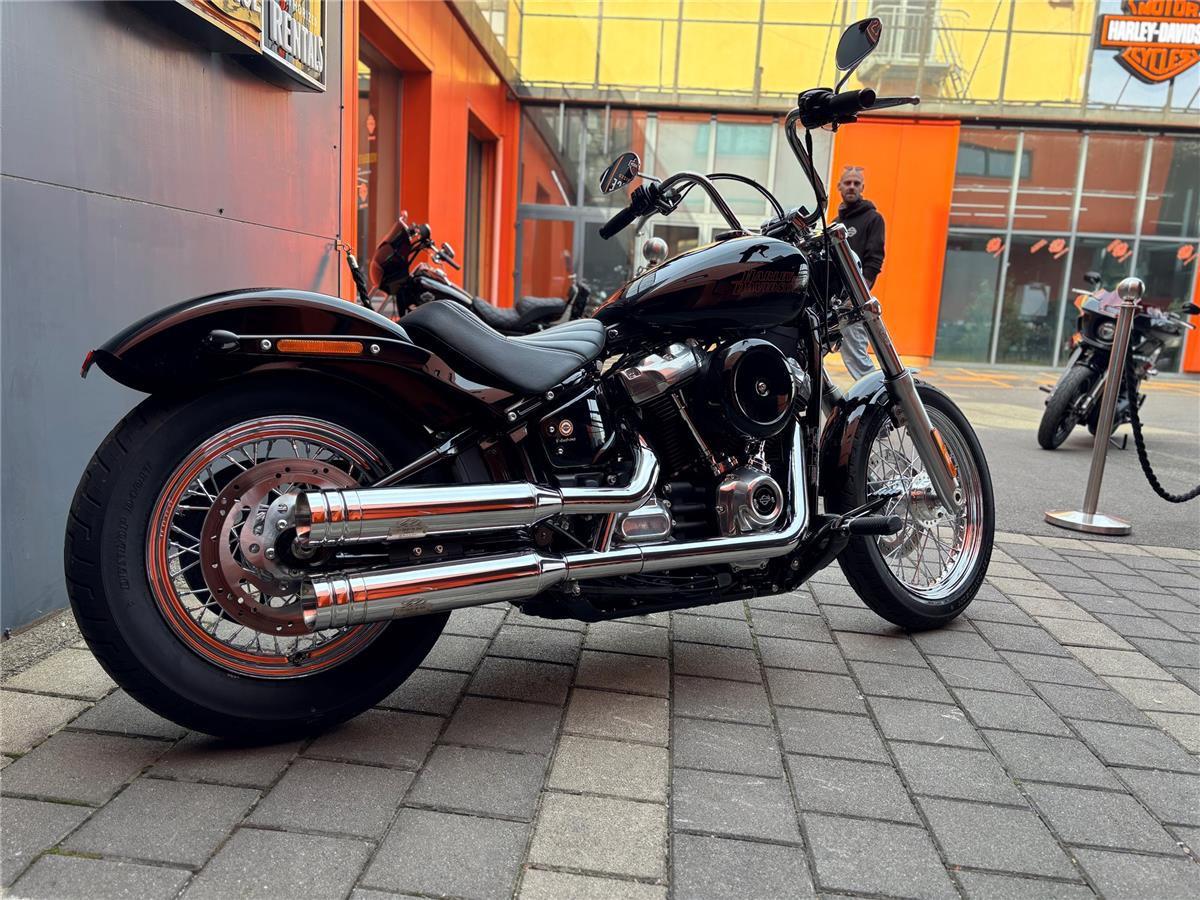 2024 Harley-Davidson Softail Standard FXST