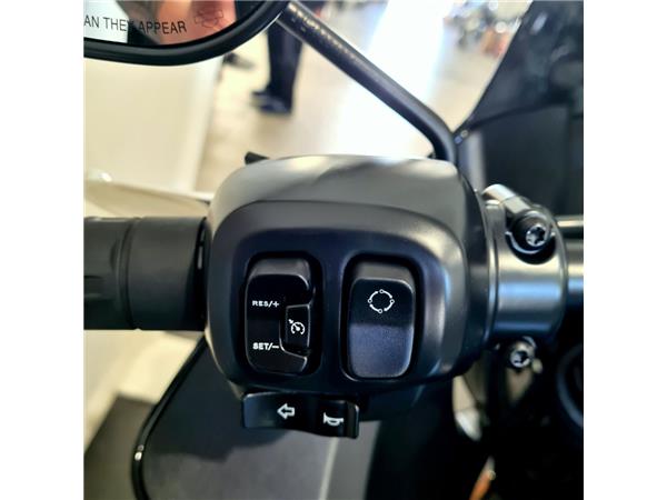 HARLEY-DAVIDSON LOW RIDER ST 