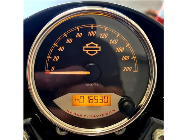 HARLEY-DAVIDSON STREET ROD