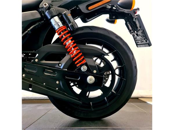 HARLEY-DAVIDSON STREET ROD
