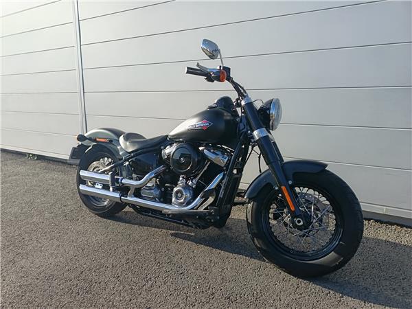 2019 HARLEY-DAVIDSON SLIM