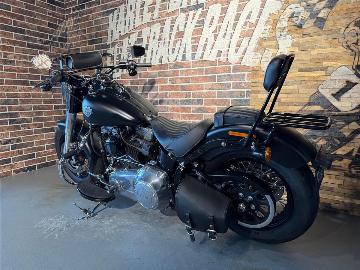 2018 harley-davidson FLS Softail Slim ABS (35kw possible)