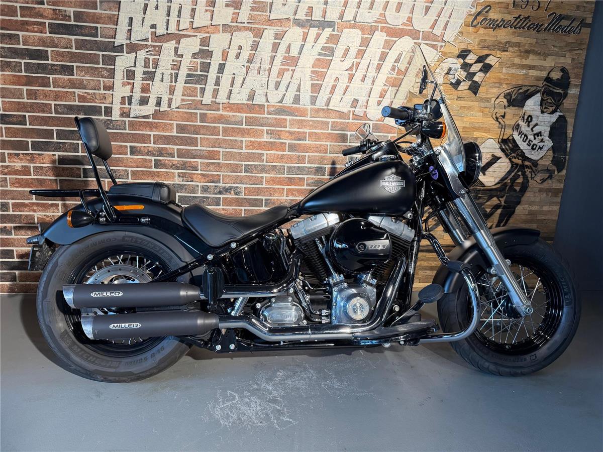 2018 harley-davidson FLS Softail Slim ABS (35kw possible)