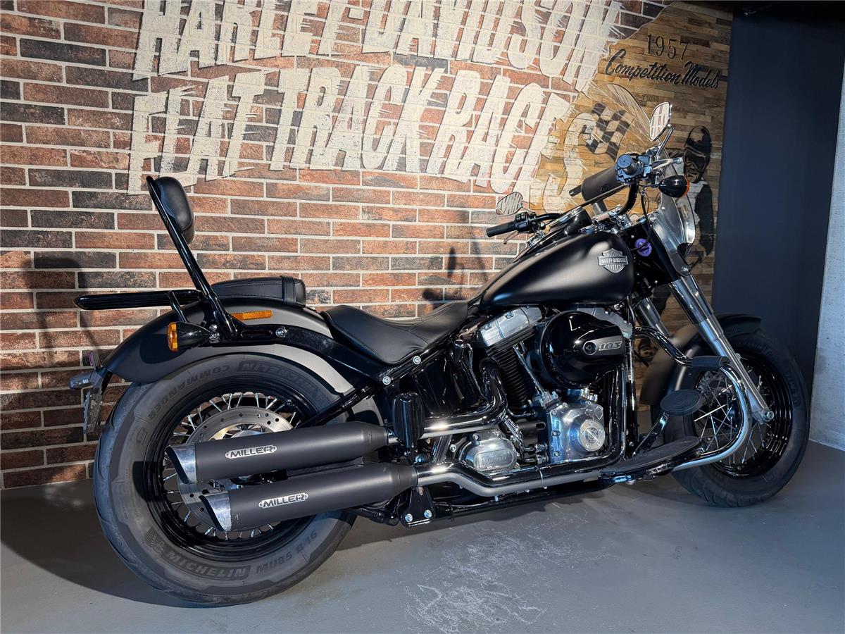 2018 harley-davidson FLS Softail Slim ABS (35kw possible)