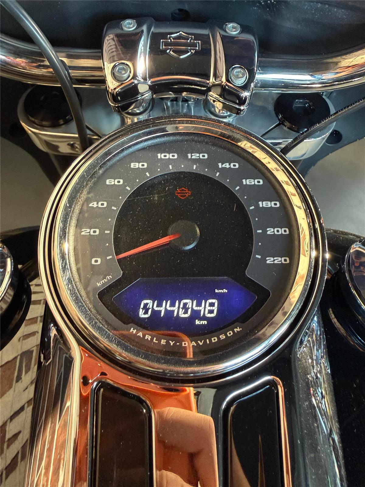 2021 harley-davidson FLSB Sport Glide 107 (35KW possible)