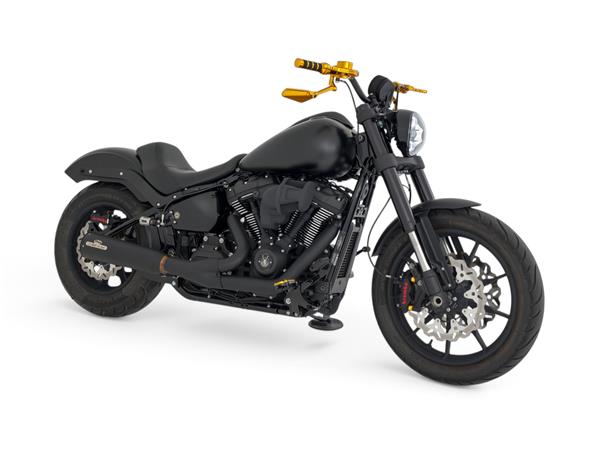 2025 harley-davidson FXLRS Low Rider S 117