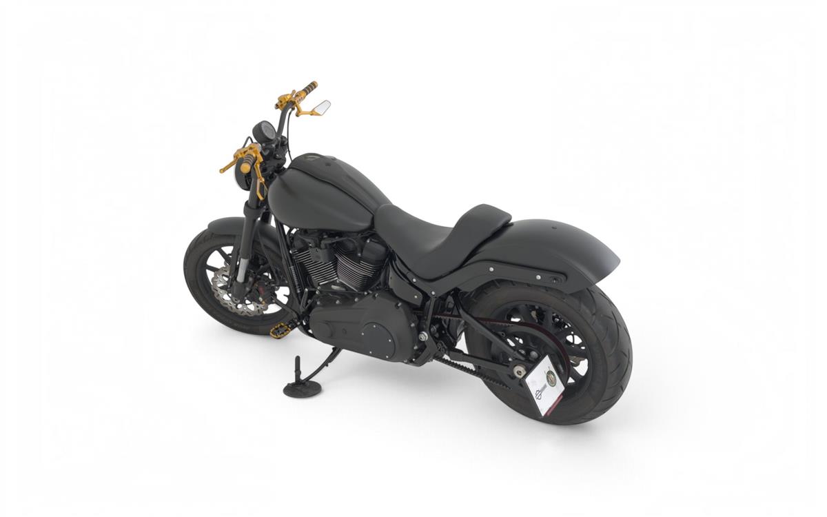 2025 harley-davidson FXLRS Low Rider S 117