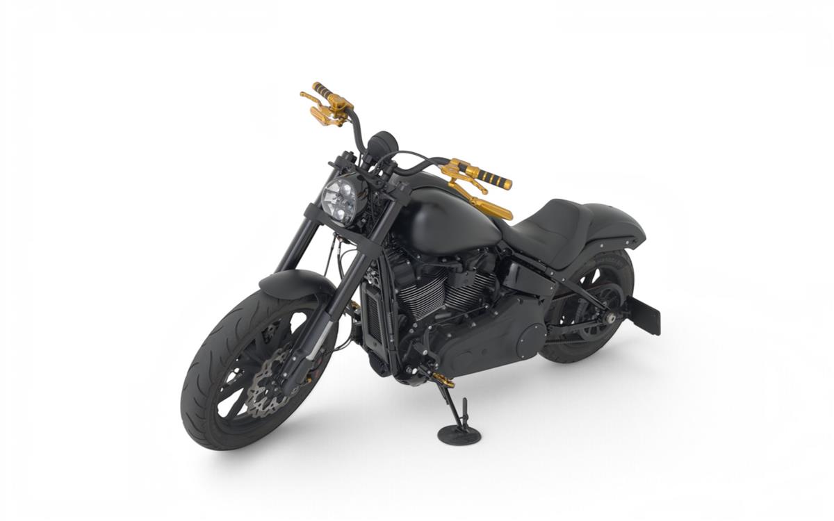 2025 harley-davidson FXLRS Low Rider S 117