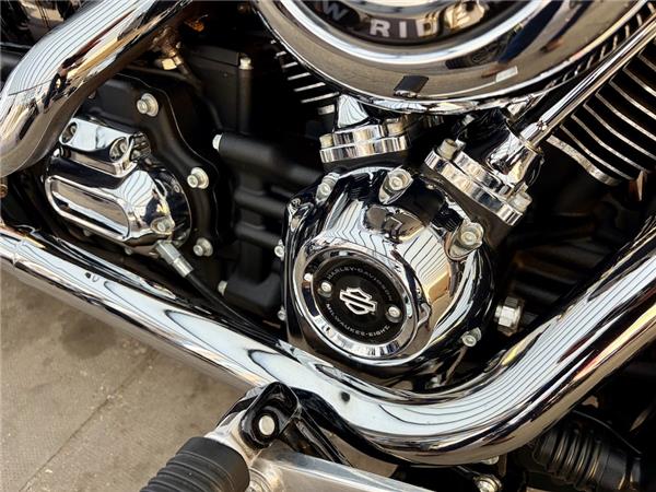 2020 HARLEY-DAVIDSON SOFTAIL FXLR LOWRIDER