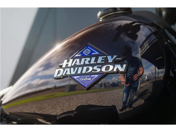 2025 Harley-Davidson Low Rider S