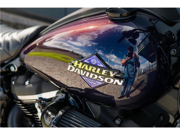 2025 Harley-Davidson Low Rider S