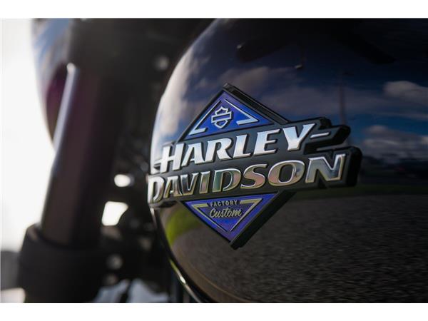 2025 Harley-Davidson Low Rider S