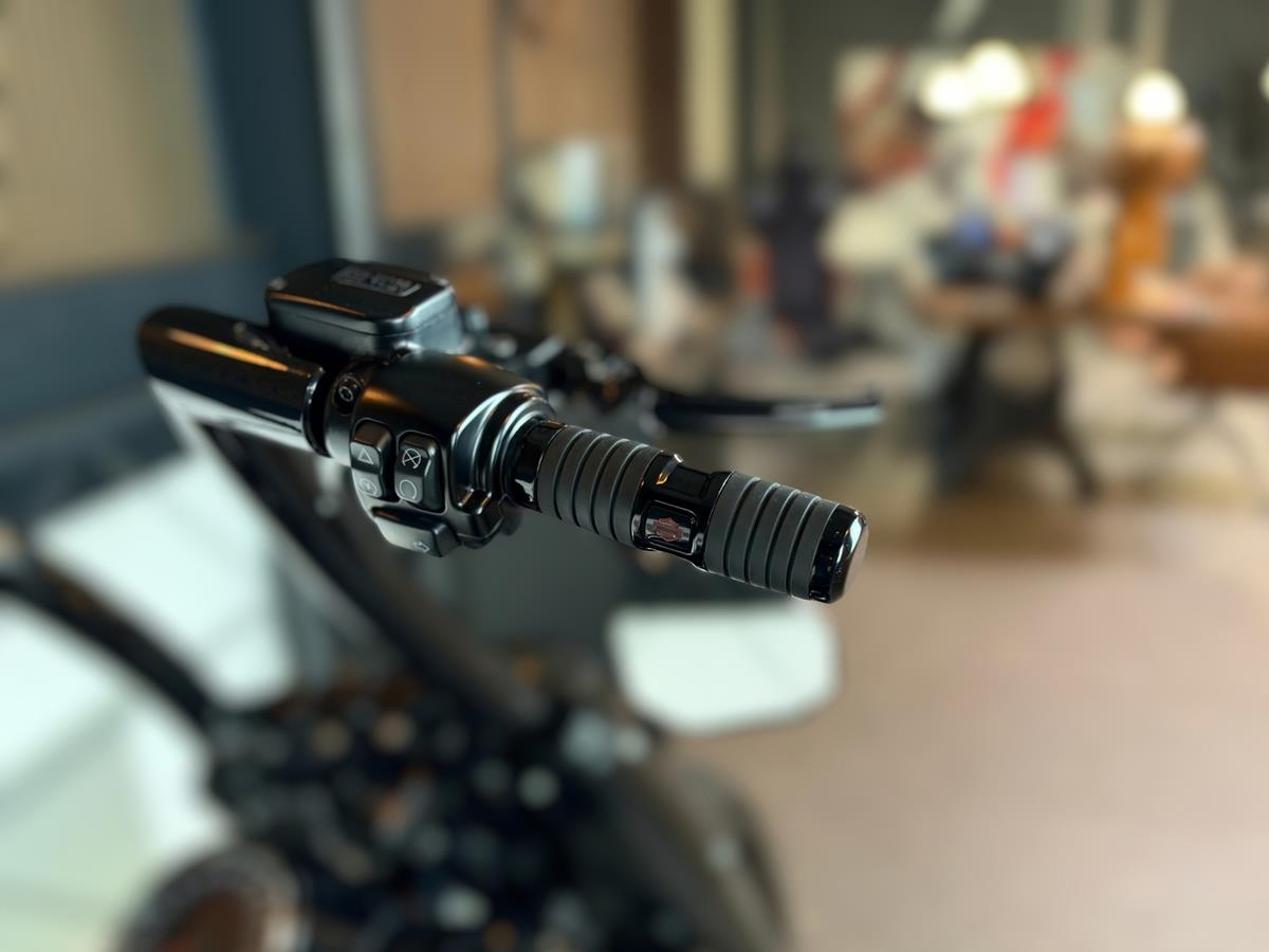 FLFBS Softail Fat Boy 114  | EINZELSTÜCK