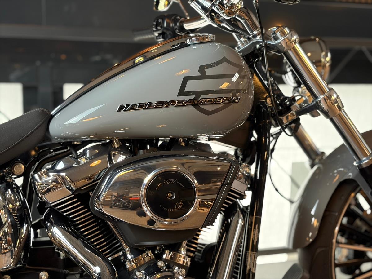 FXBR Softail Breakout 117  | JEKILL & HYDE