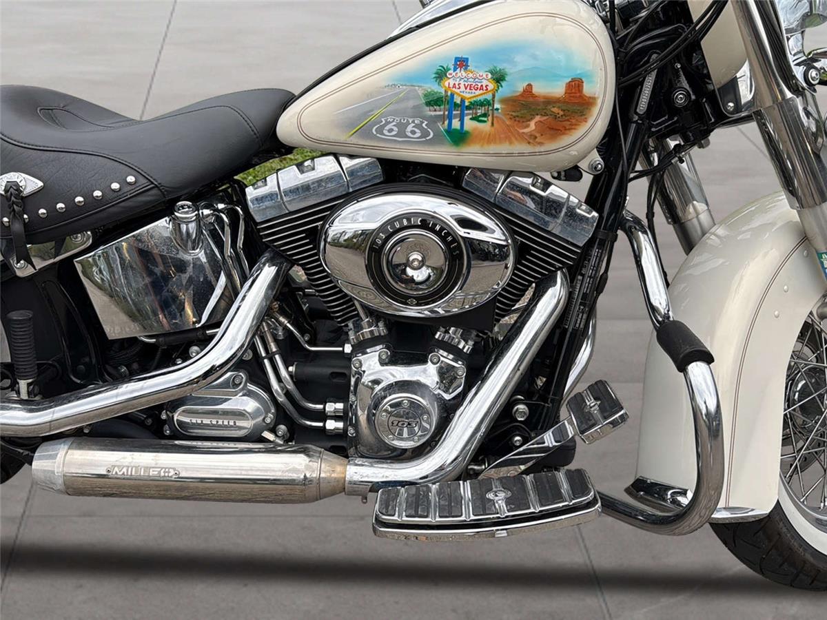 2014 harley-davidson FLSTC Softail Heritage Classic ABS