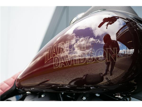 2021 Harley-Davidson Low Rider S