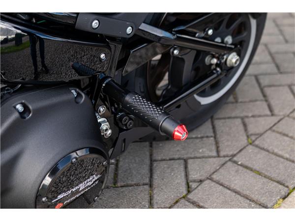 2021 Harley-Davidson Low Rider S