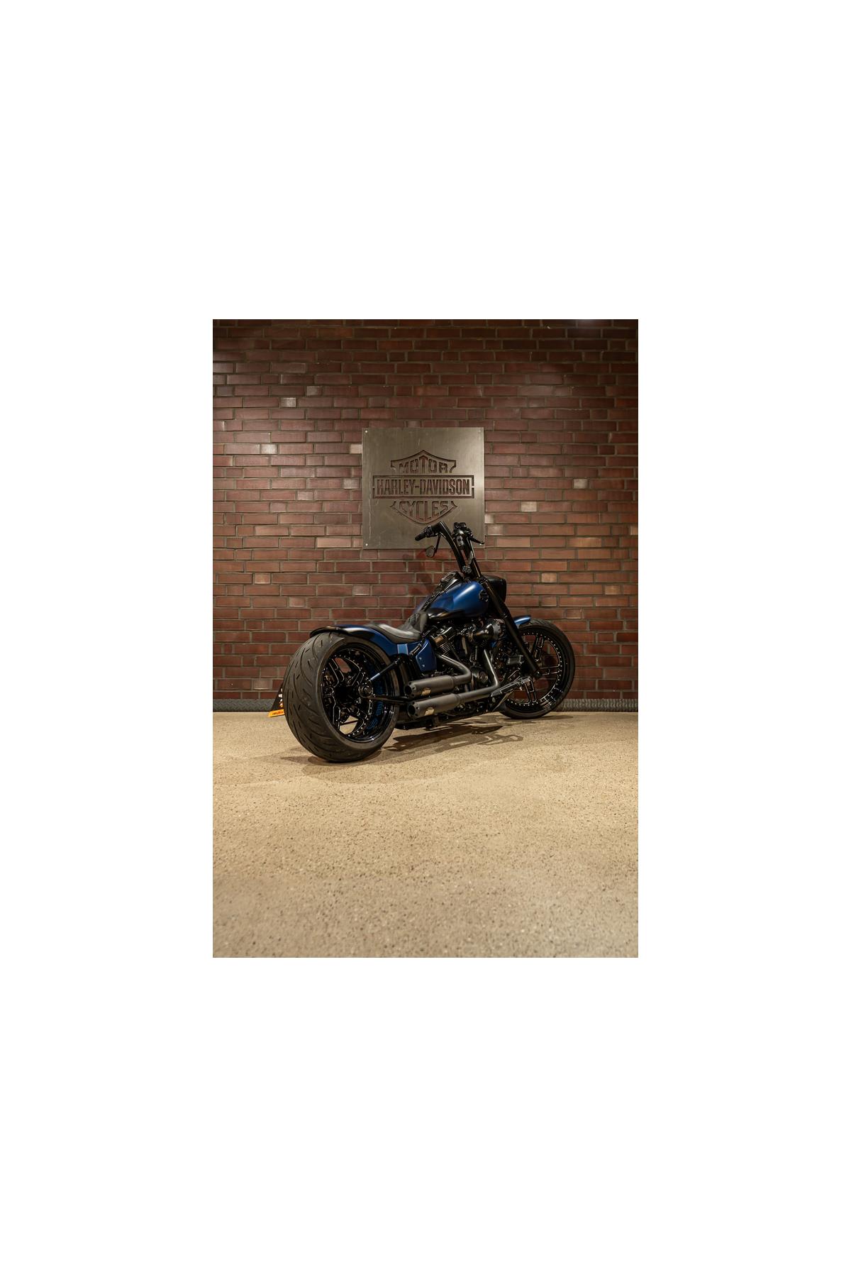 FLFBS Softail Fat Boy 114 THUNDERBIKE Umbau
