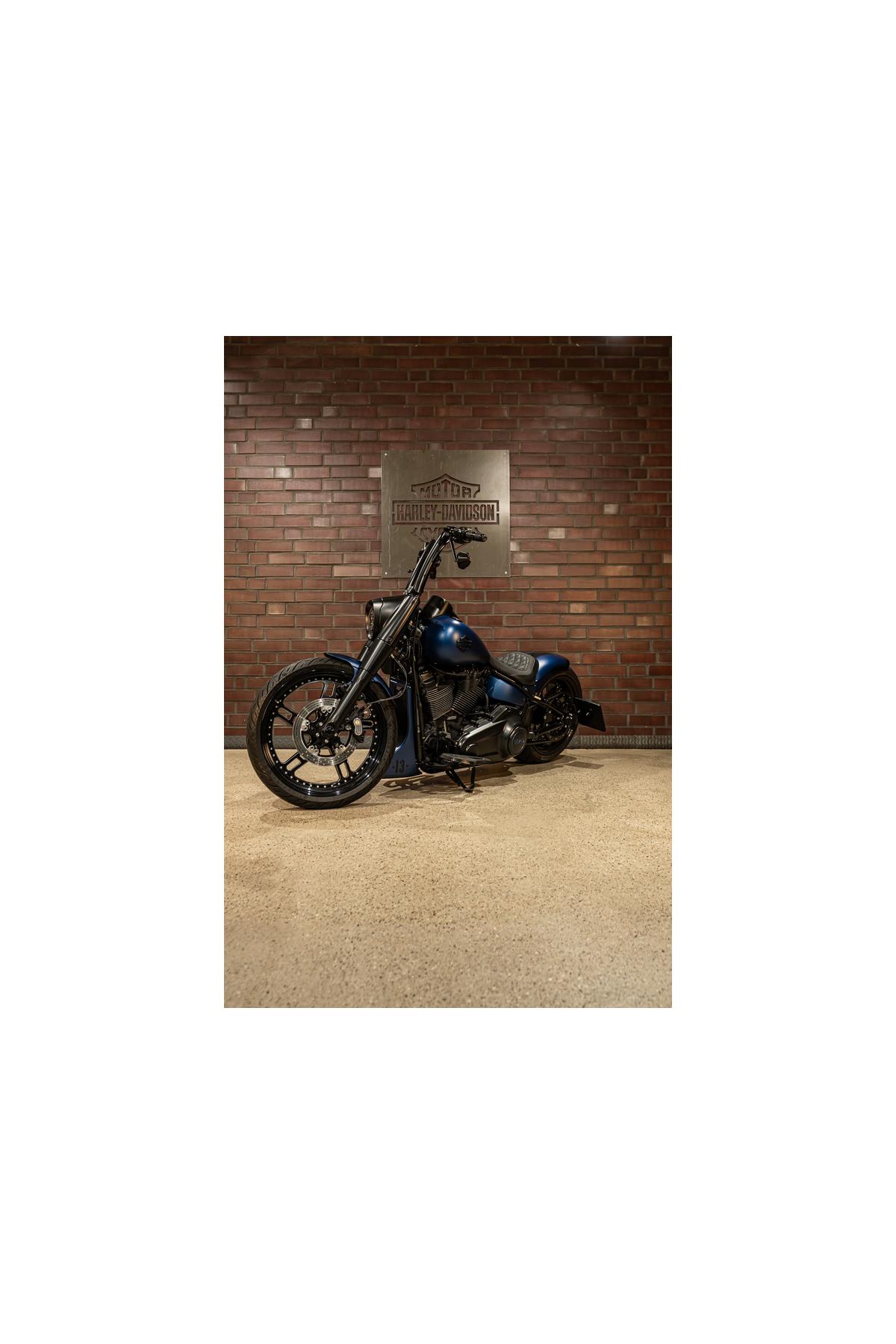 FLFBS Softail Fat Boy 114 THUNDERBIKE Umbau
