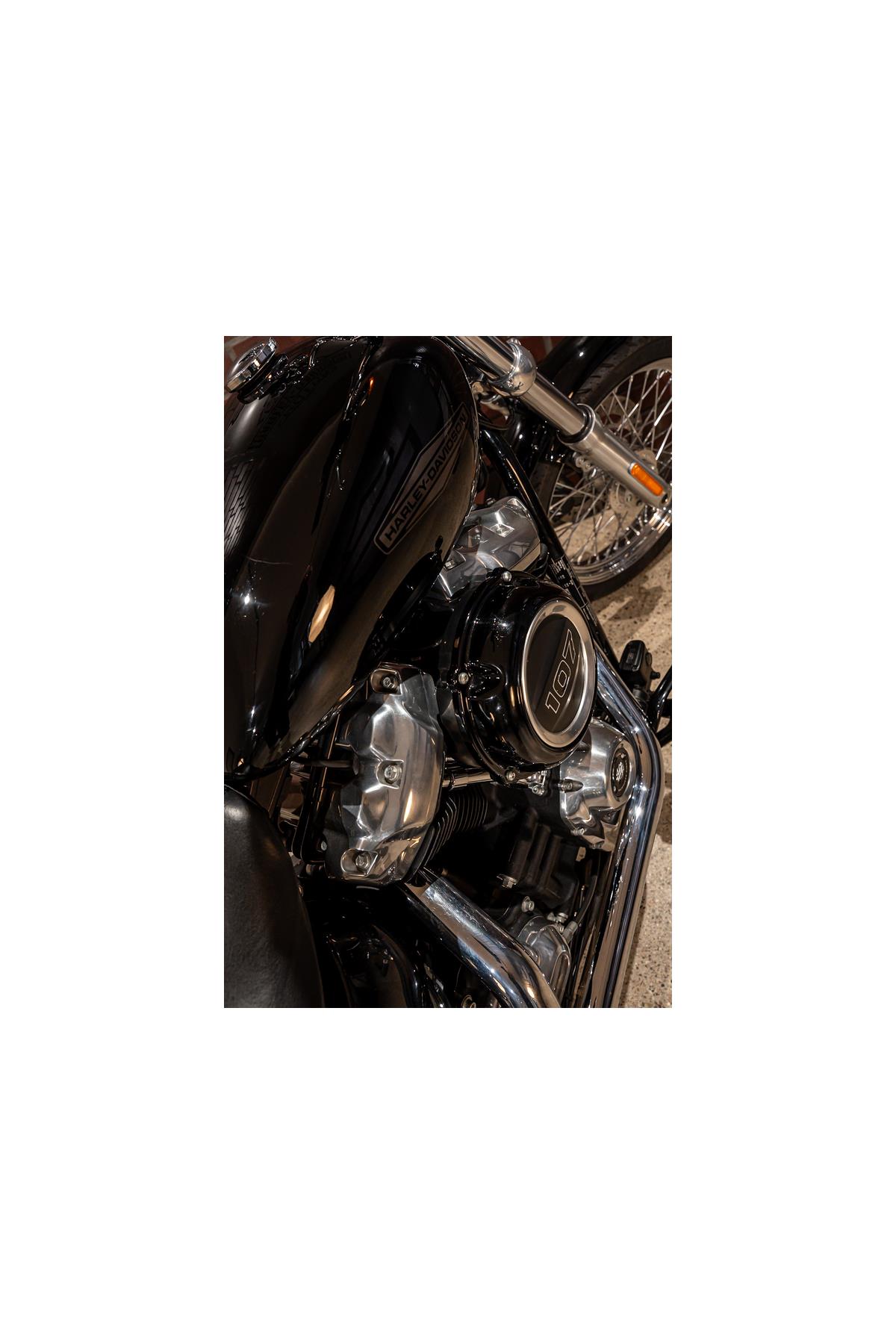FXST Softail Standard J&H