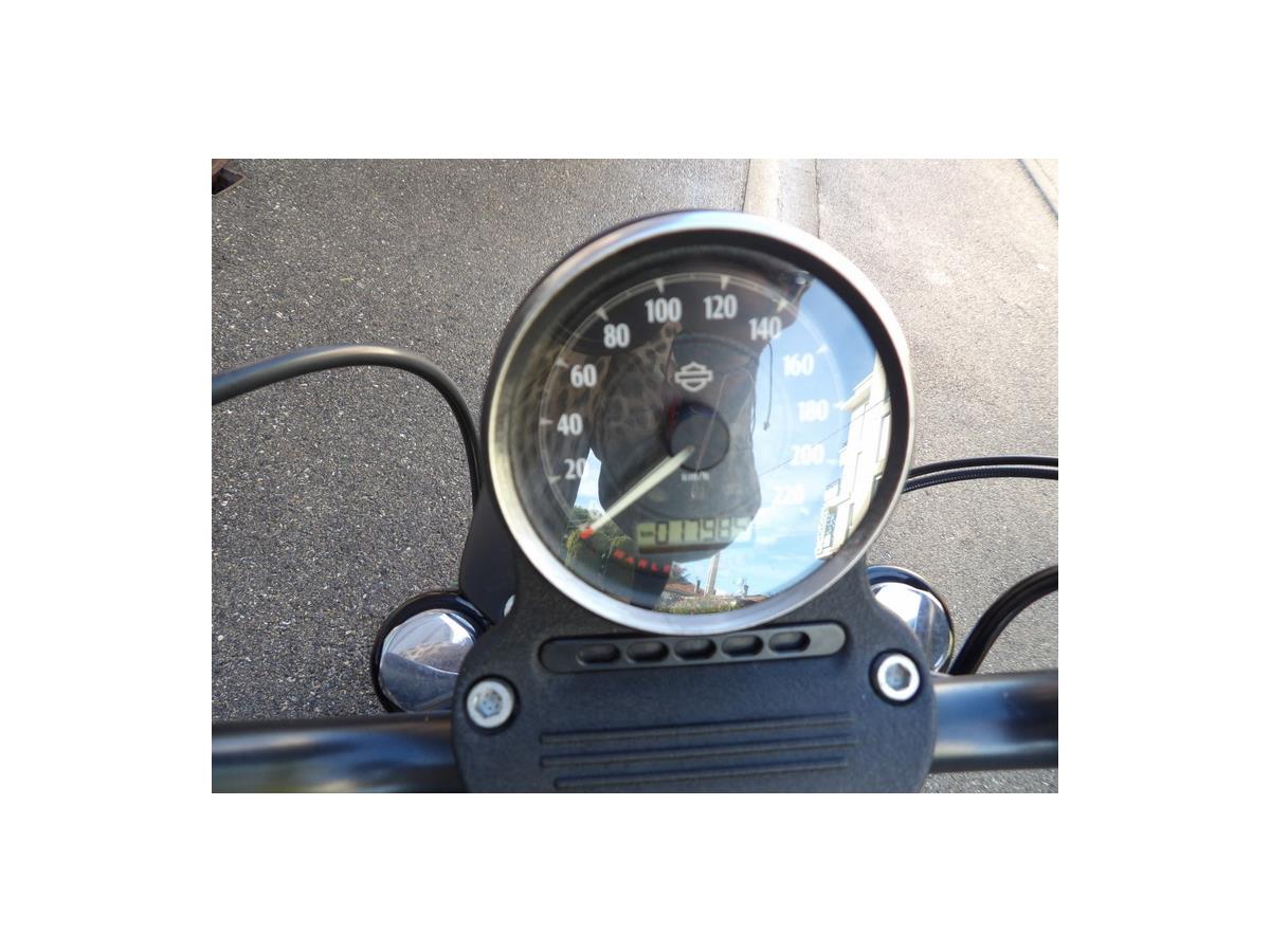 2014 HARLEY-DAVIDSON IRON