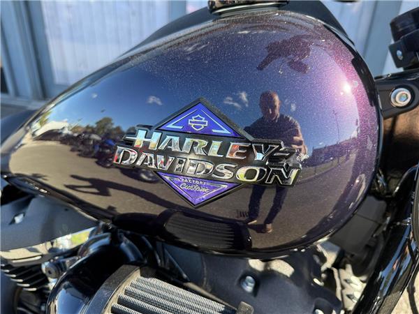 2025 HARLEY-DAVIDSON LOW RIDER S