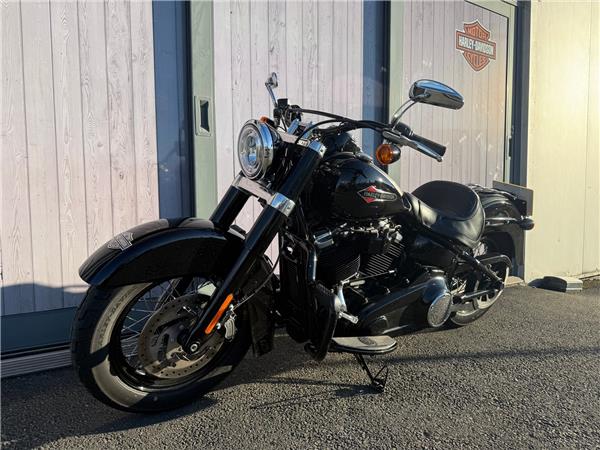 2019 HARLEY-DAVIDSON SOFTAIL FLS SLIM