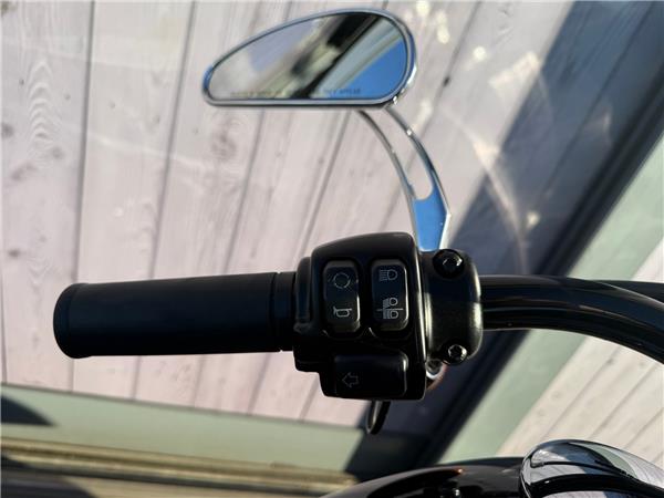 2019 HARLEY-DAVIDSON SOFTAIL FLS SLIM