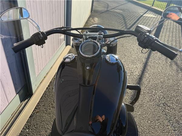 2019 HARLEY-DAVIDSON SOFTAIL FLS SLIM