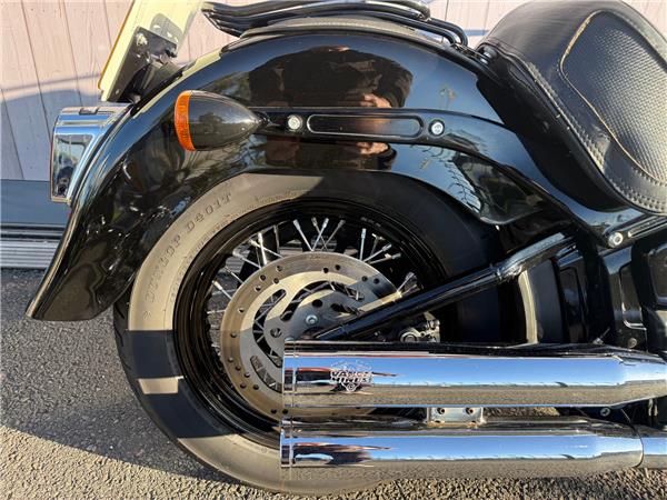 2019 HARLEY-DAVIDSON SOFTAIL FLS SLIM