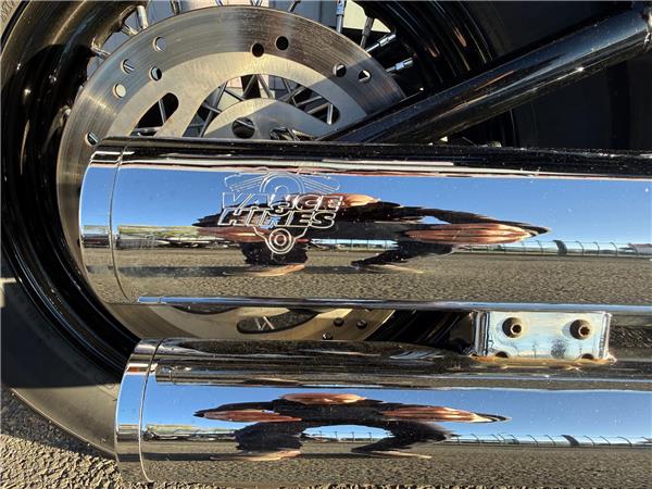 2019 HARLEY-DAVIDSON SOFTAIL FLS SLIM